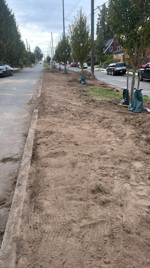 Rainier Beach Street Median Sod Removal — commercial construction by Kolmo Construction, Rainier Beach, Seattle, WA