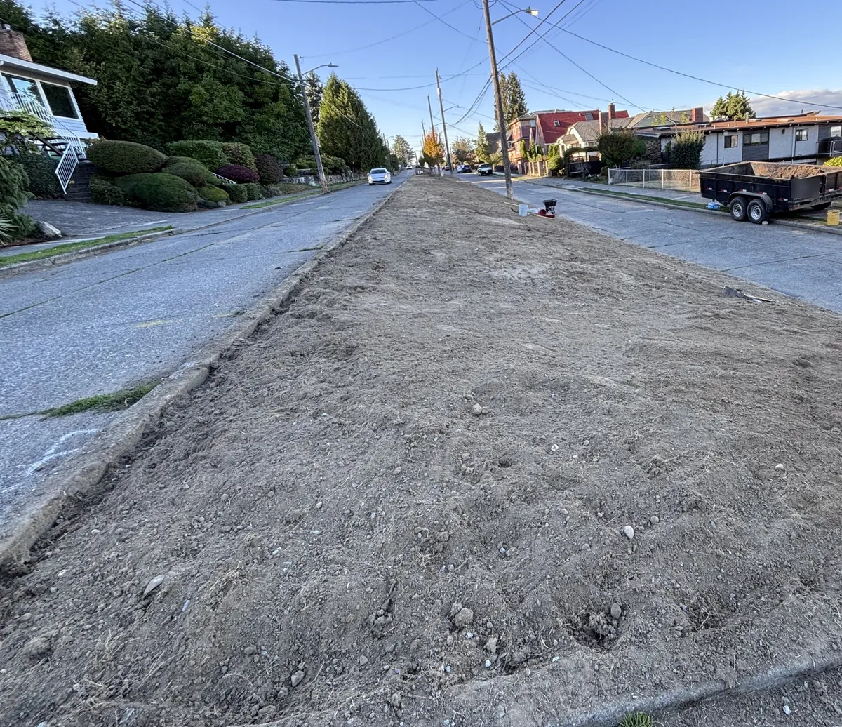 Rainier Beach Street Median Sod Removal - commercial construction by Kolmo Construction